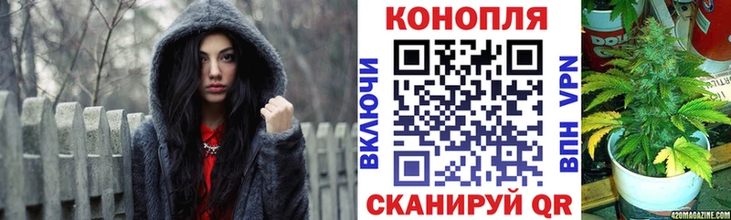 Бошки марихуана гибрид  Бирюч 